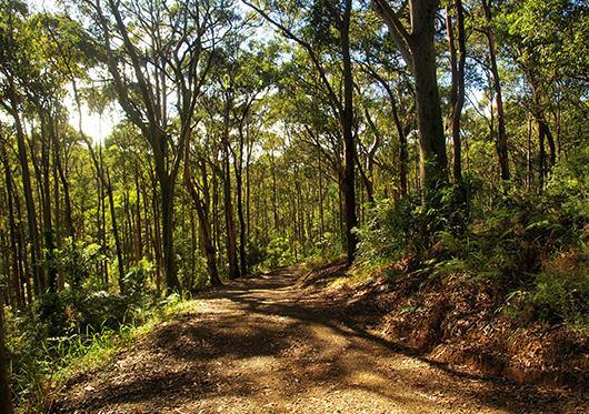 dreamstime xl 16397607