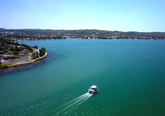 Aerial-cruise