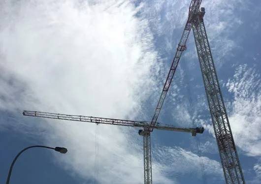 Cranes