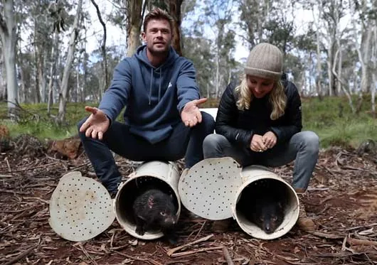 Elsa-Pataky-and-Chris-Hemsworth-Release-Tasmanian-devils