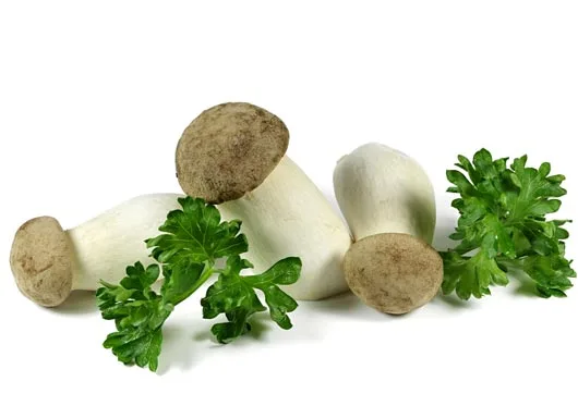 Mushooms