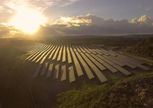 Newcastle-solar-farm-at-dawn