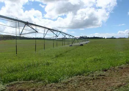 Recycled-water-irrigation