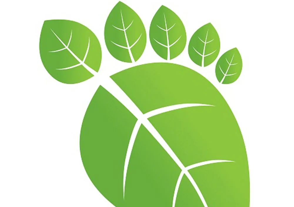 foot-print-web
