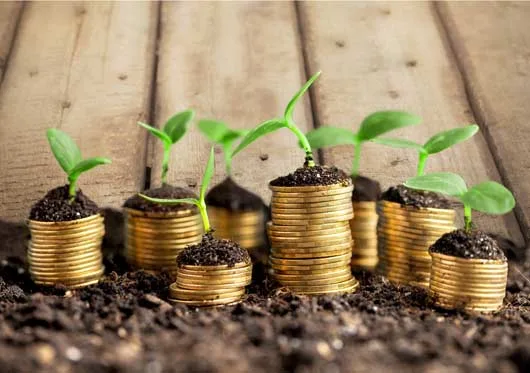 growing-coins