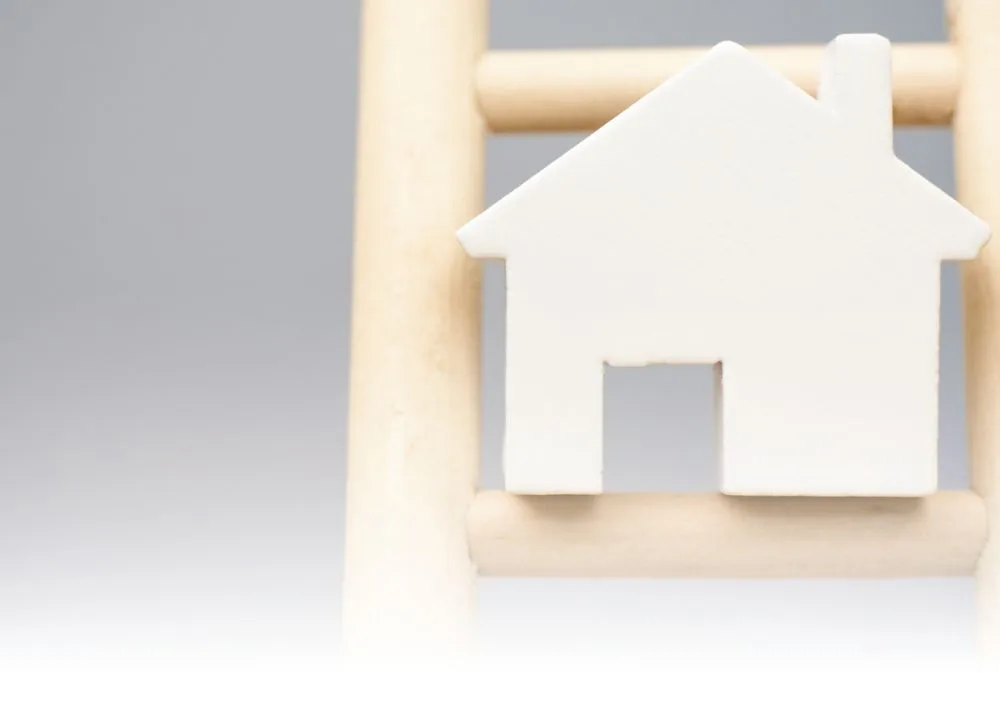 house-web