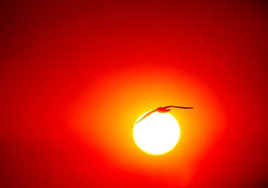 sun